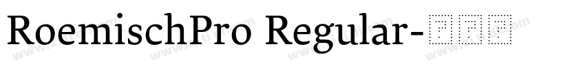 RoemischPro Regular字体转换 RoemischPro Regular字体转换